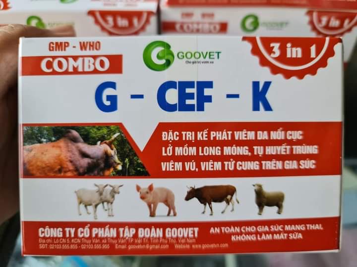 1 cặp Cef đăc tri viêm da nổi cục, lở mồm long móng cho gia súc