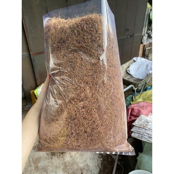 Chỉ Dừa dùng để phủ mặt chậu loại 30x40cm