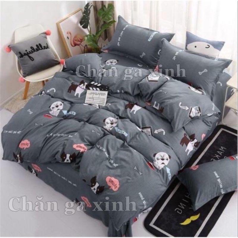 Combo Ga gối poly bộ ga gối cotton ngộ nghĩnh đáng yêu, bo chun drap ga giường