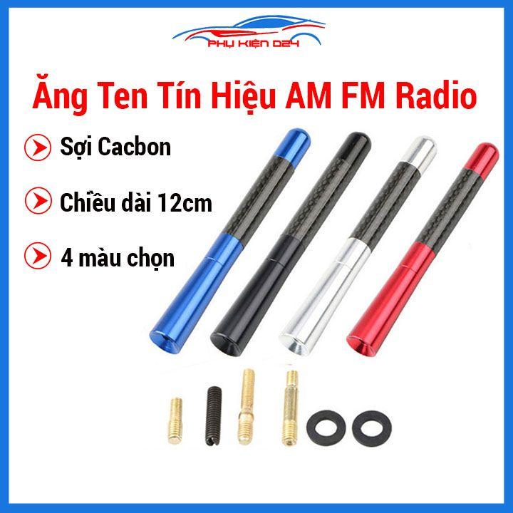 Ăng ten ô tô vân cabon, anten tín hiệu thu sóng AM FM Radio dài 12cm thông dụng cho xe hơi