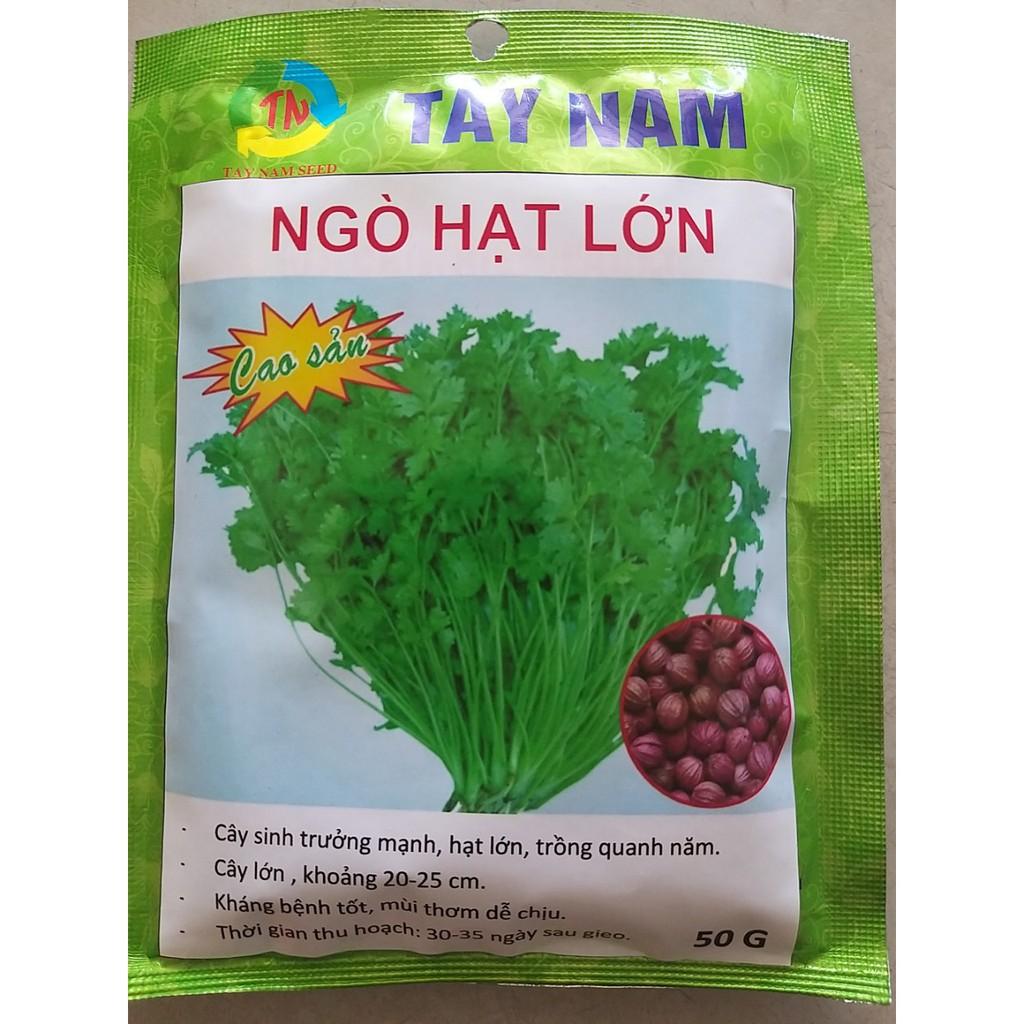 Hạt giống ngò hạt lớn Tây Nam