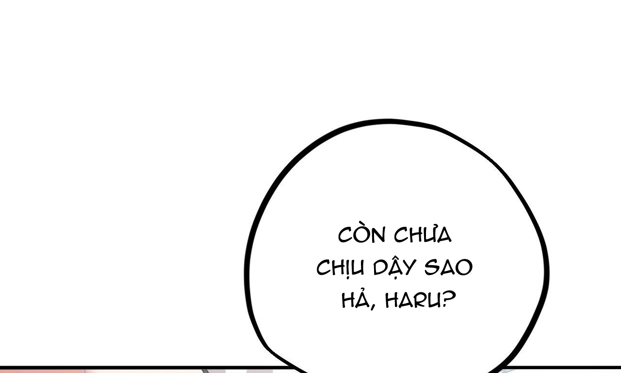 đàn thỏ của habibi chapter 33 20