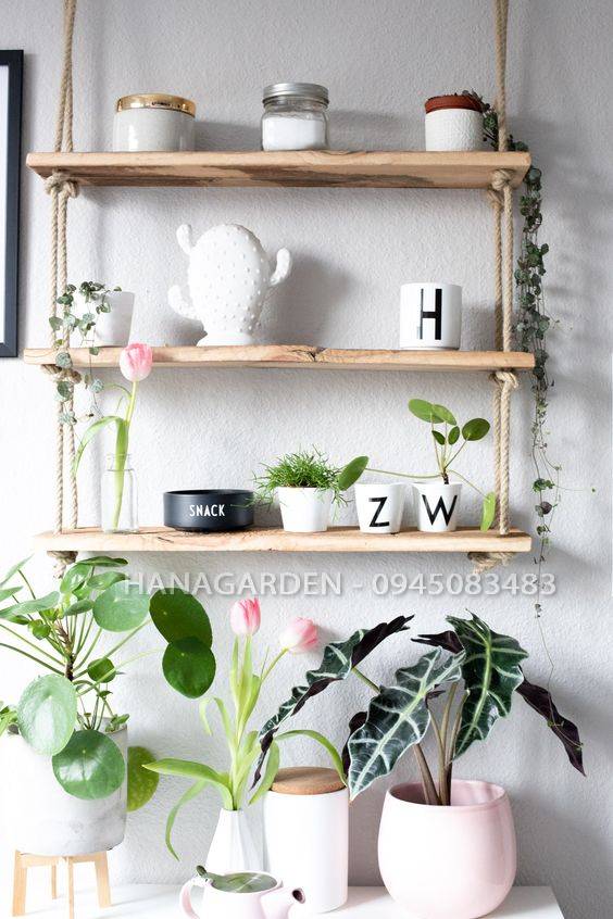 KỆ GỖ 2 TẦNG TREO TƯỜNG 60X20CM BẢN TO Trang Trí Bằng Dây Thừng Trang Trí Gỗ Cao Su Ghép