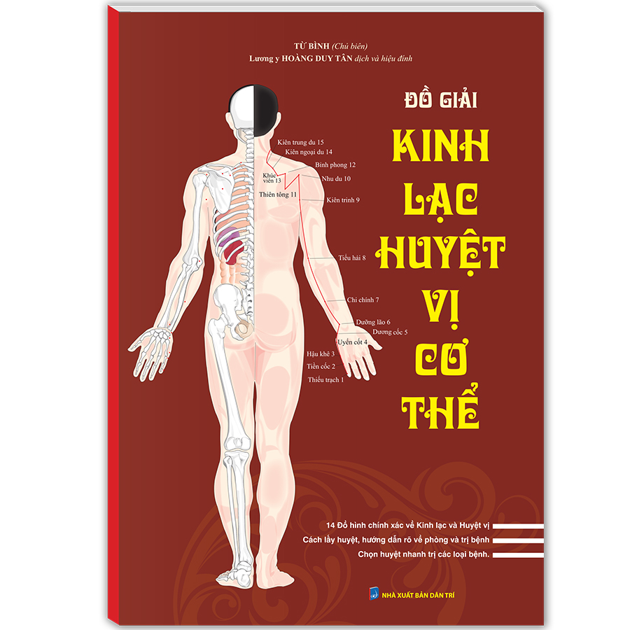 Đồ Giải Kinh Lạc Huyệt Vị Cơ Thể