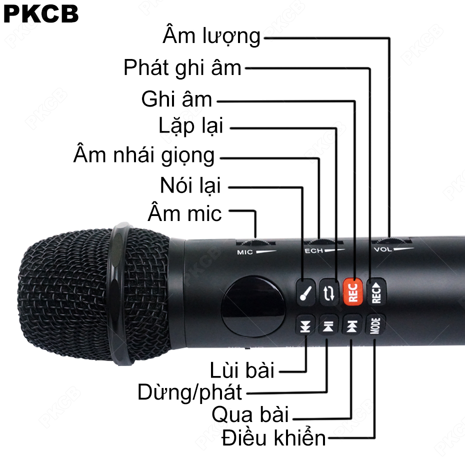 Micro Karaoke Bluetooth Âm Thanh Hay Cao Cấp Ghi Âm PKCB167 Luxury Golden - Hàng Chính Hãng
