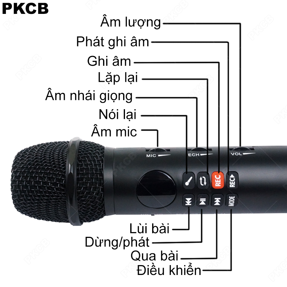 Micro Karaoke Bluetooth Âm Thanh Hay Cao Cấp Ghi Âm PKCB167 ĐEN - Hàng Chính Hãng