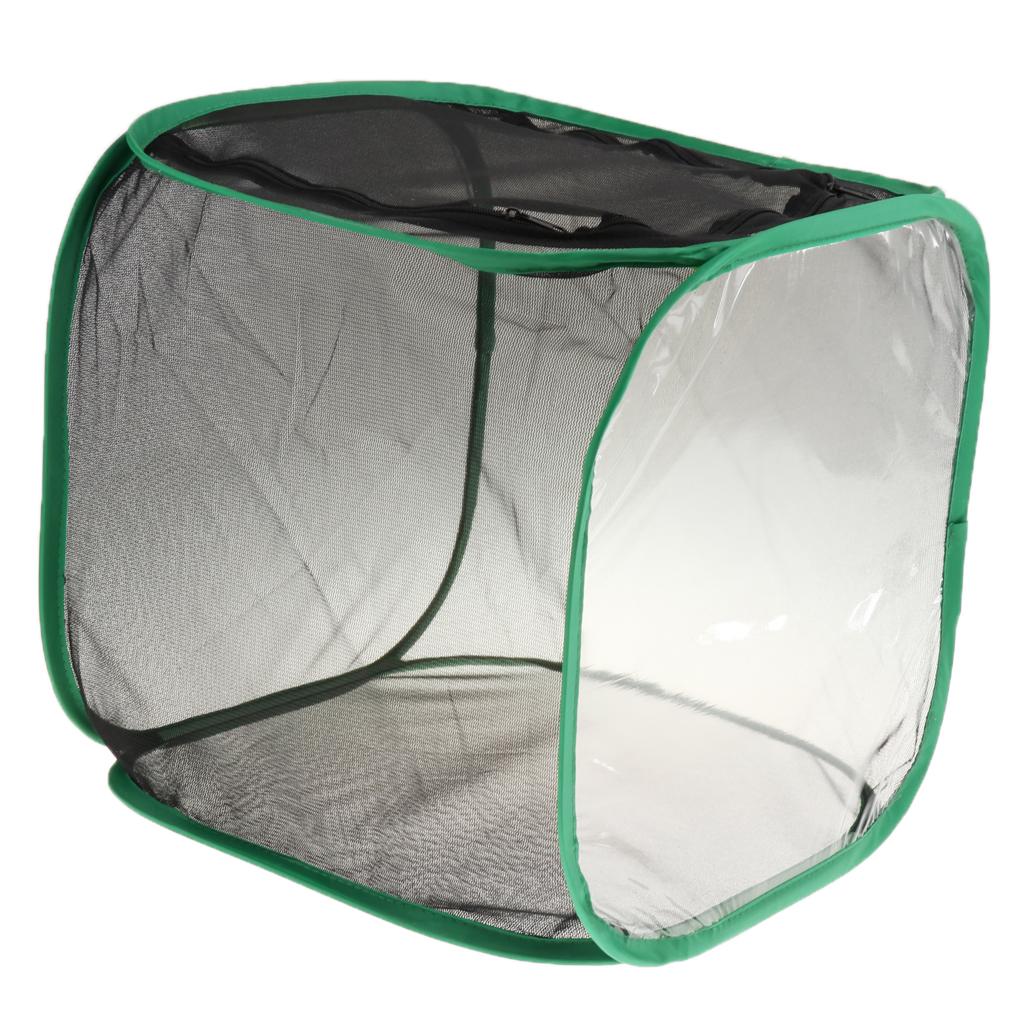 Foldable Insect and Butterfly Habitat Net Terrarium Breeding Cage Incubator