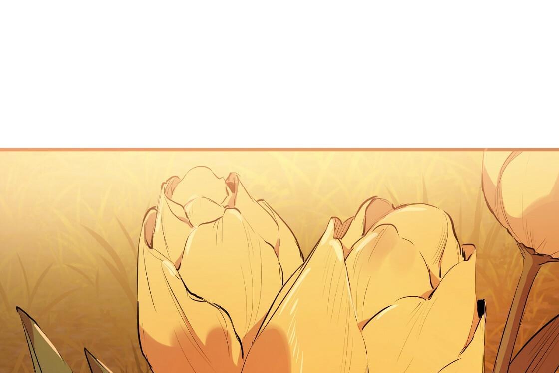 đàn thỏ của habibi chapter 24 232