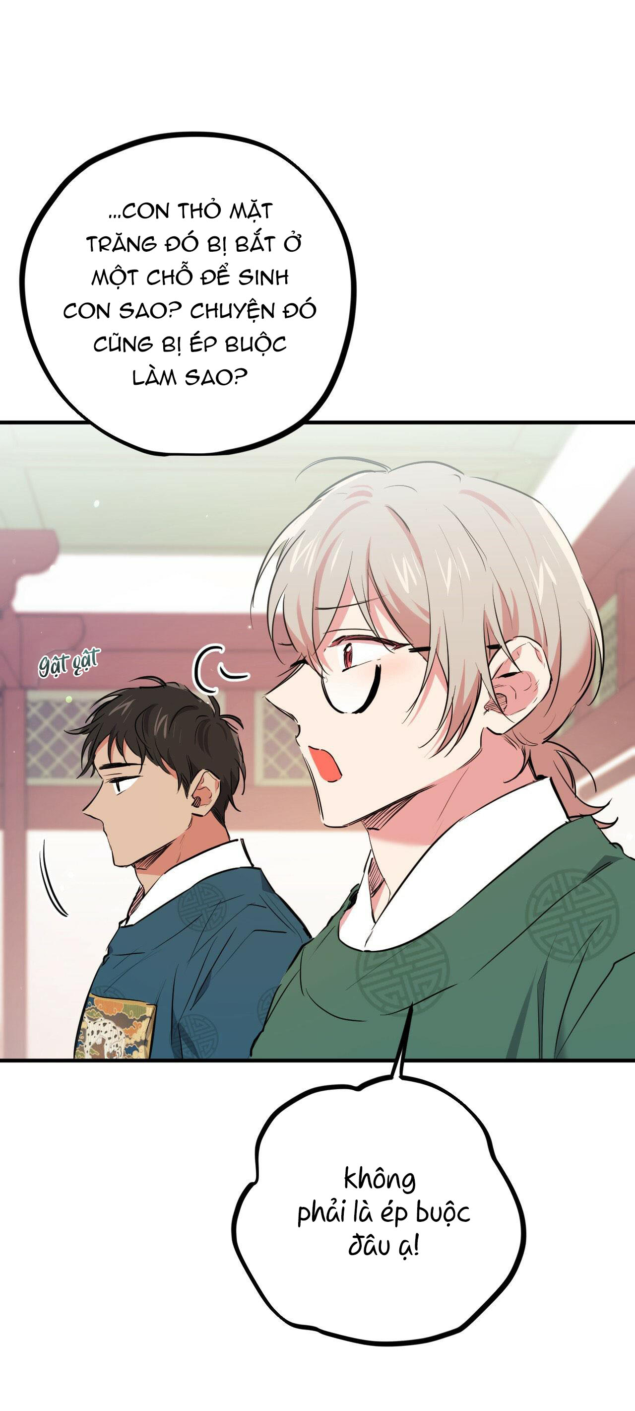 những chú thỏ của hapypy chapter 21 21