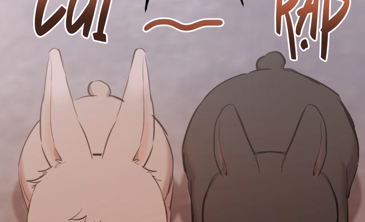 đàn thỏ của habibi chapter 19 78