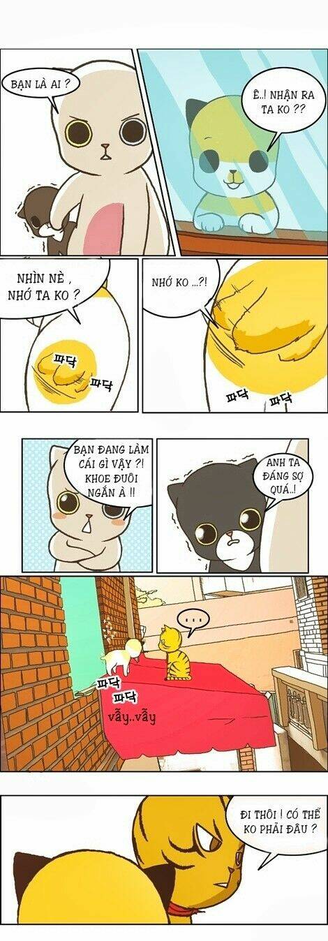 papi nyang chapter 12 9