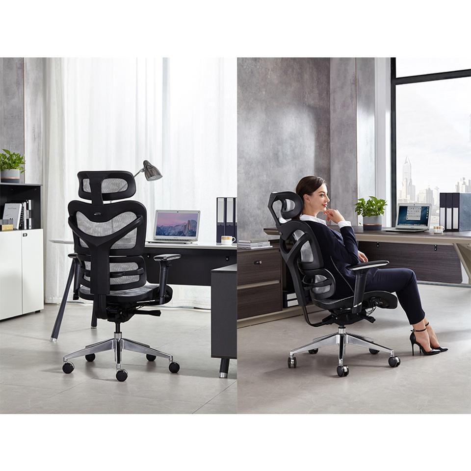 Ghế công thái học Ergonomic Solo S726A