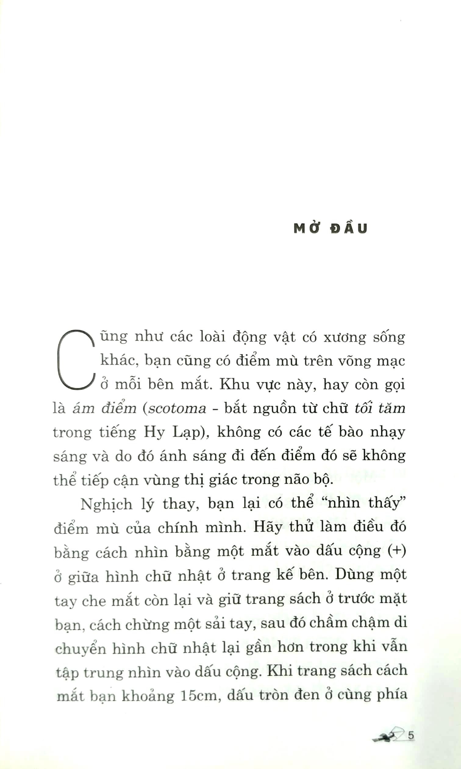 Điểm Mù Thành Kiến