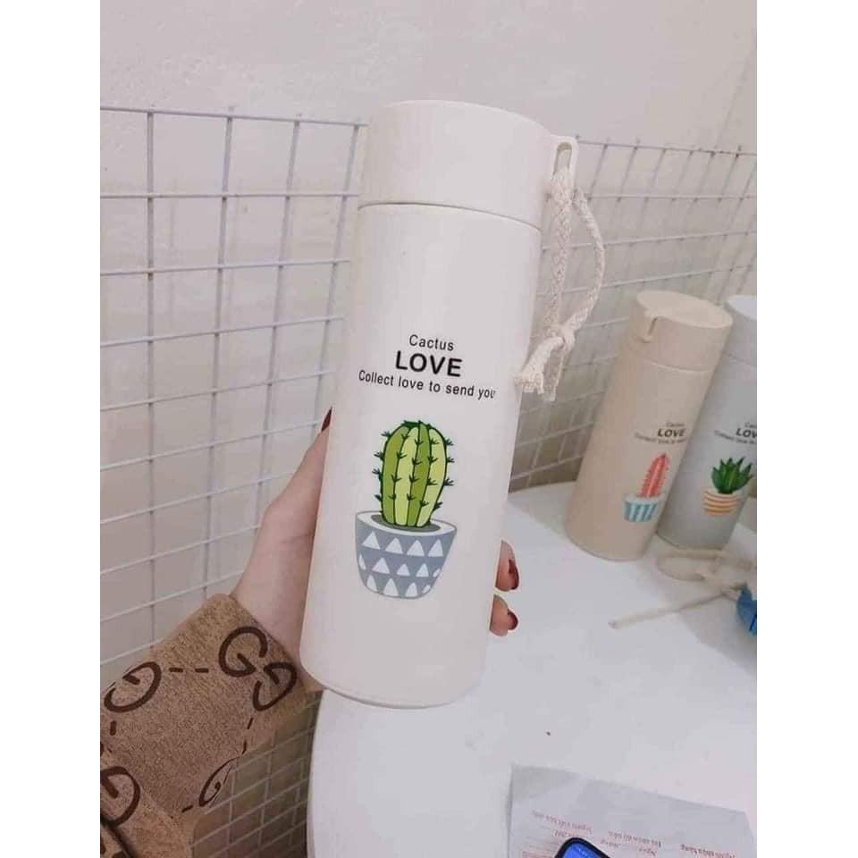 BÌNH NƯỚC XƯƠNG RỒNG 450ml siêu đẹp