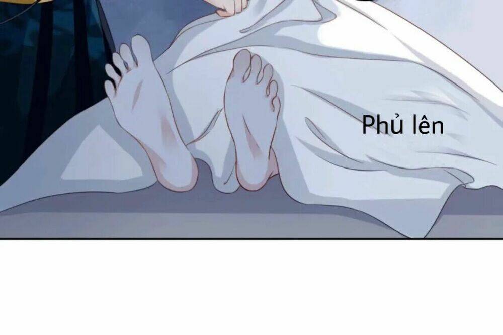 sủng phi của vương chapter 44 8