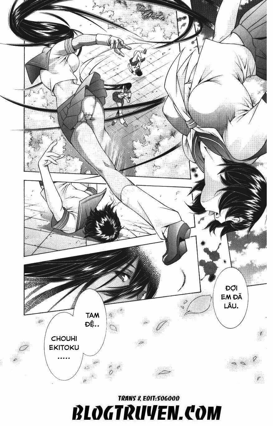 dragon girl - ikkitousen chapter 94 4