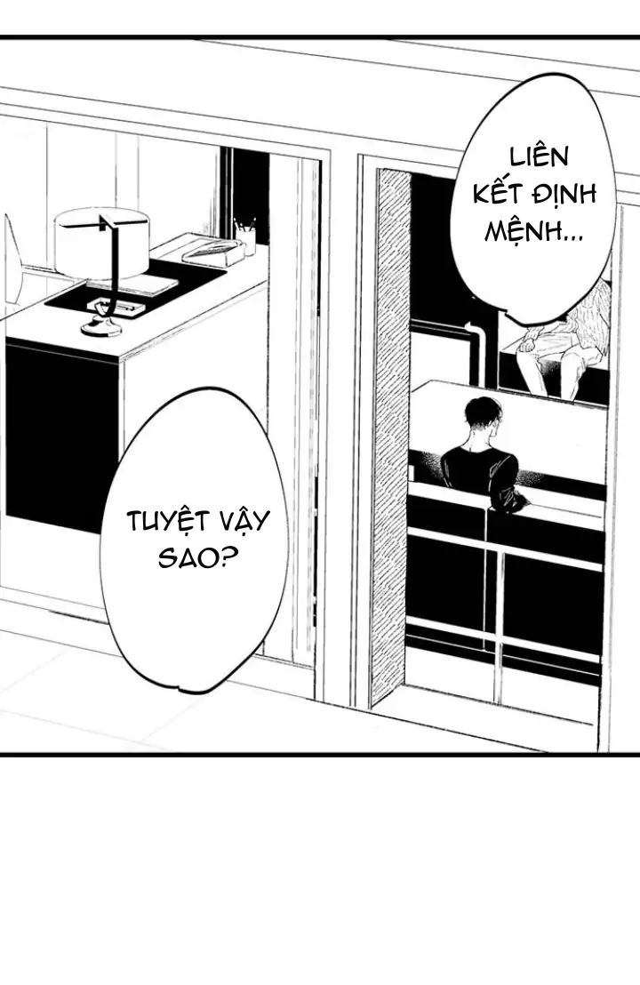 [18+]anh alpha kia! ly hôn đi chapter 4.1 10