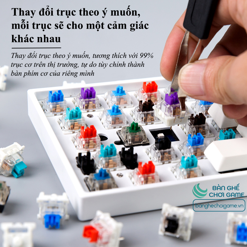Bàn phím cơ không dây Bluetooth Newmen GM680 Jungle Hot Swap Outemu Switch - Hàng chính hãng