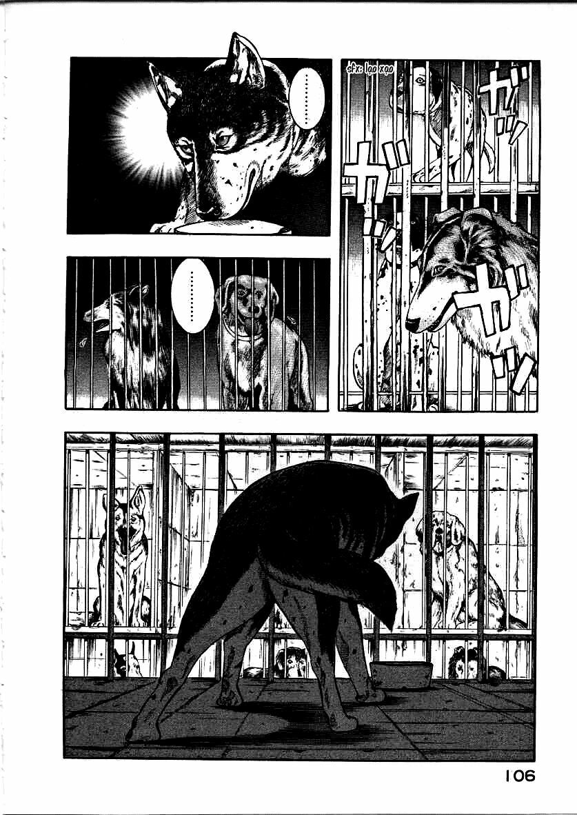 inugami chapter 12 24