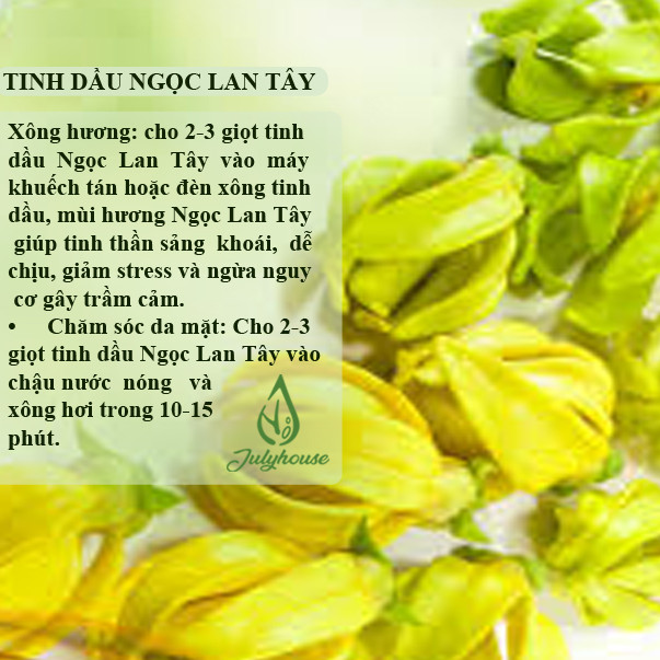 Combo Tinh dầu Oải Hương, Ngọc Lan Tây Julyhouse + Tặng Tinh dầu Sả Java 10ml.