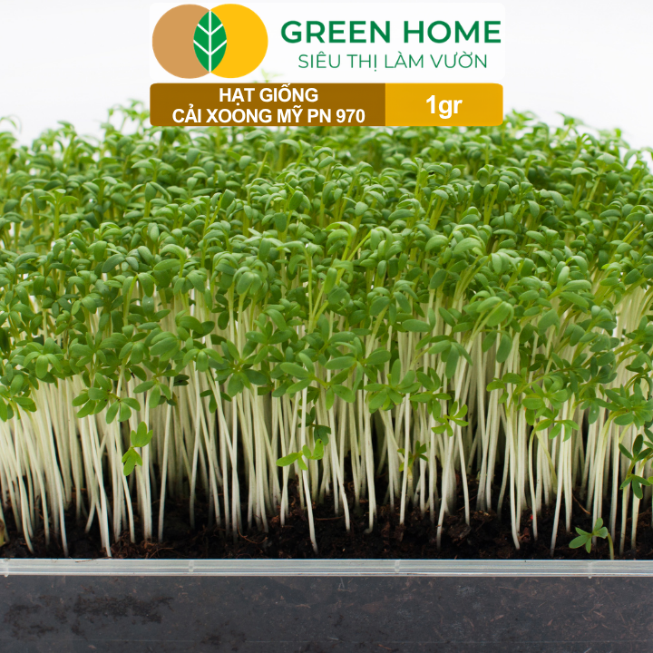 Hạt Giống Rau Xà Lách Xoong GreenHome, Gói 1gr, Dễ Trồng, Nảy Mầm Cao, Thu Hoạch Nhanh R01