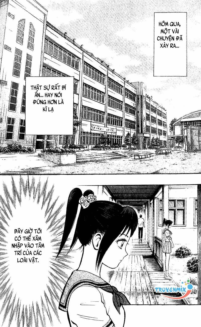 animal sense chapter 2 4