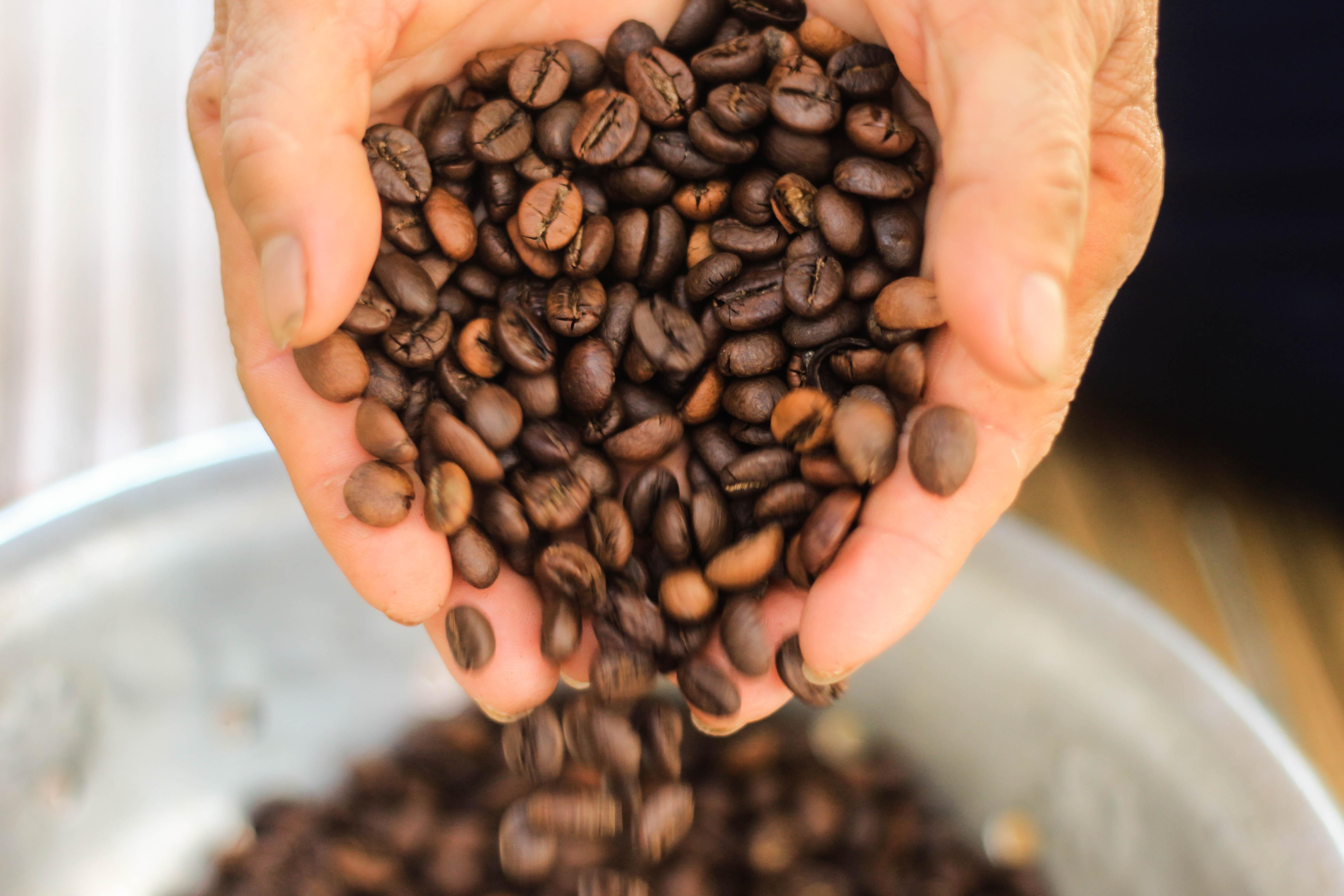 BỘT CÀ PHÊ RANG XAY NGUYÊN CHẤT - RANG MỘC ROBUSTA - M&T FINE COFFEE