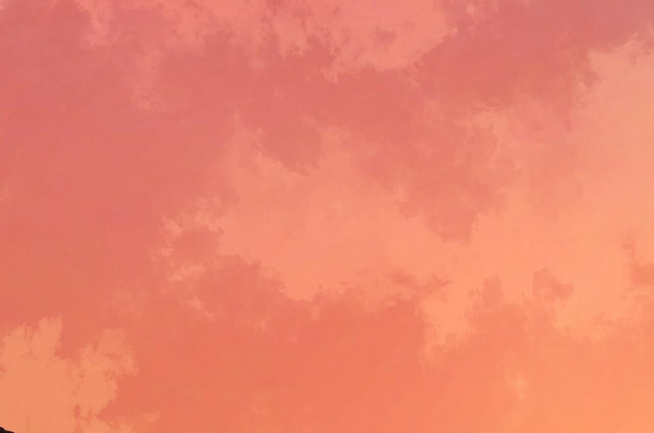 chàng dâu nhà họ kang chapter 28 16