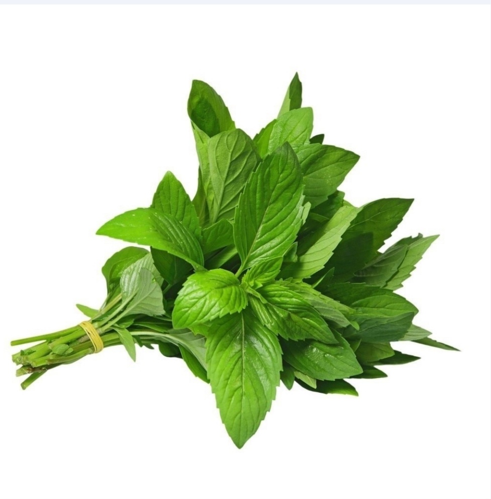 [CHỈ GIAO HCM] Húng cây - 100gr