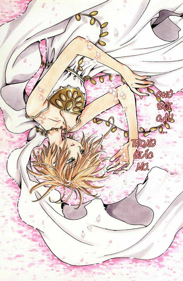 huyền thoại đôi cánh chapter 159 10