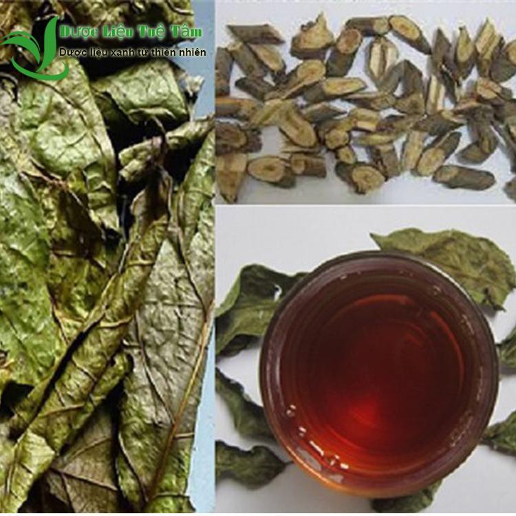 CÂY XẠ ĐEN HÒA BÌNH khô đóng gói 500g