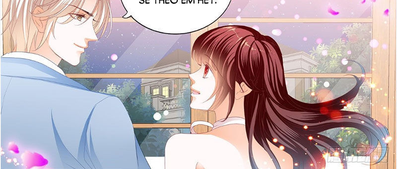 lóe thiểm hôn kiều thê mơ tưởng trốn chapter 247 5