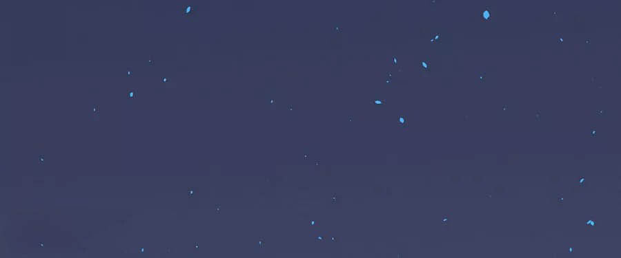 hoàn mỹ lão công tiến hóa luân chapter 79.5 10