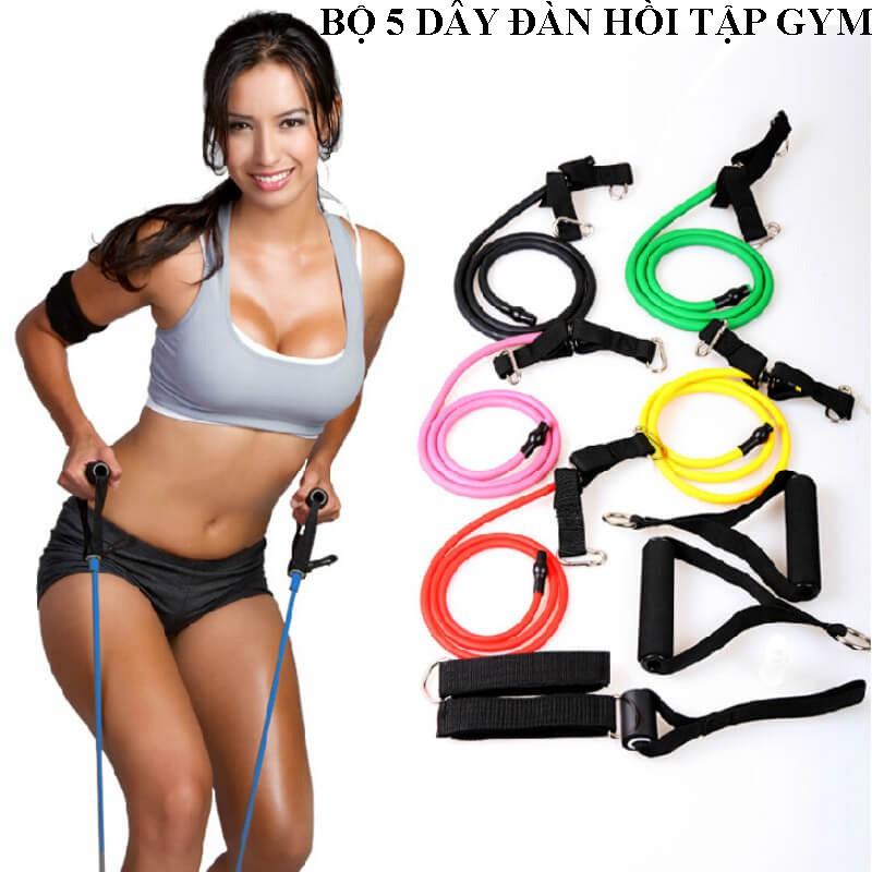 Dụng cụ tập gym, Dây đàn hồi tập gym, Bộ 5 dây đàn hồi tập thể hình gọn nhẹ, có tính đàn hồi cao, bền, an toàn