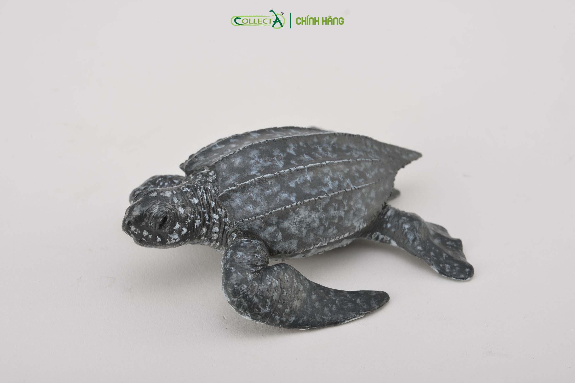 Mô hình thu nhỏ: Rùa Da - Leatherback Sea Turtle, hiệu: CollectA, mã HS 9652030[88680] - Chất liệu an toàn cho trẻ - Hàng chính hãng