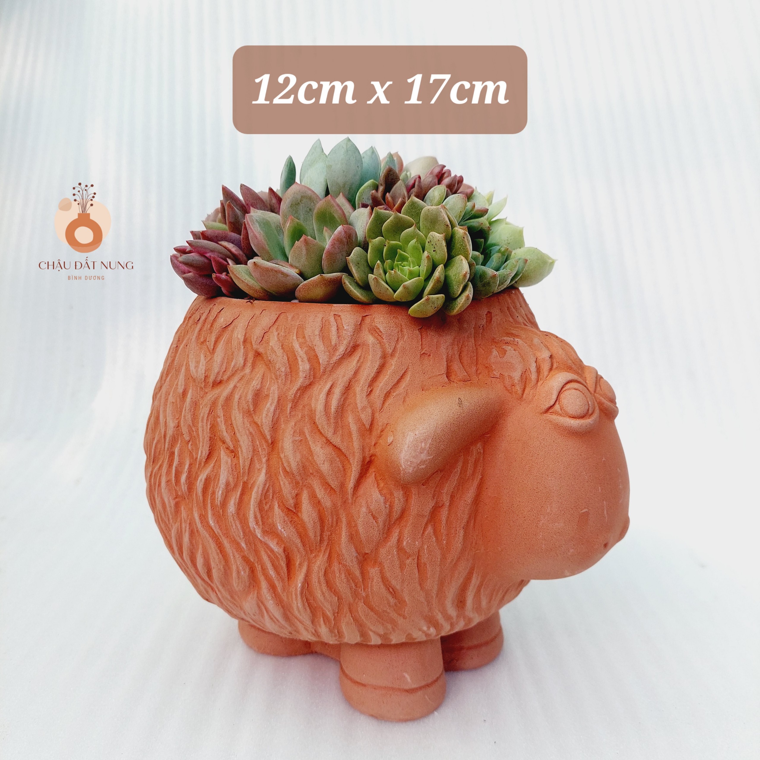 Chậu đất nung Bình Dương - Cừu Mập Heo, miệng chậu 12cm, chiều cao 17cm