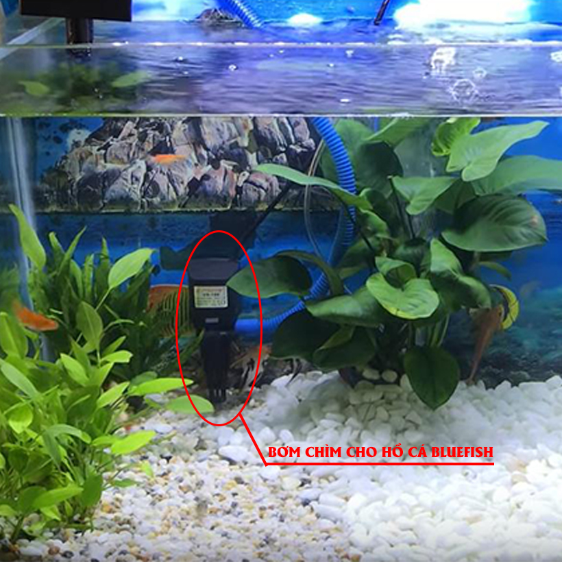 BƠM CHÌM HỒ CÁ BLUEFISH LOẠI NHỎ (24V DC) GIÁ THANH LÝ (1 bộ bao gồm 1 bơm chìm và 1 bộ AC chuyển đổi dòng điện) thích hợp sử dụng cho bể cá, hệ thống thuỷ canh, hồ thuỷ sinh nhỏ