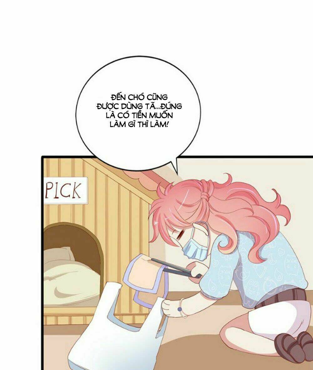 quản lí ngây ngô và thần tượng ác ma chapter 14 17