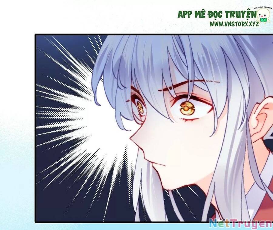 lại bị bệnh chiều chuộng quấn lấy chapter 80 24