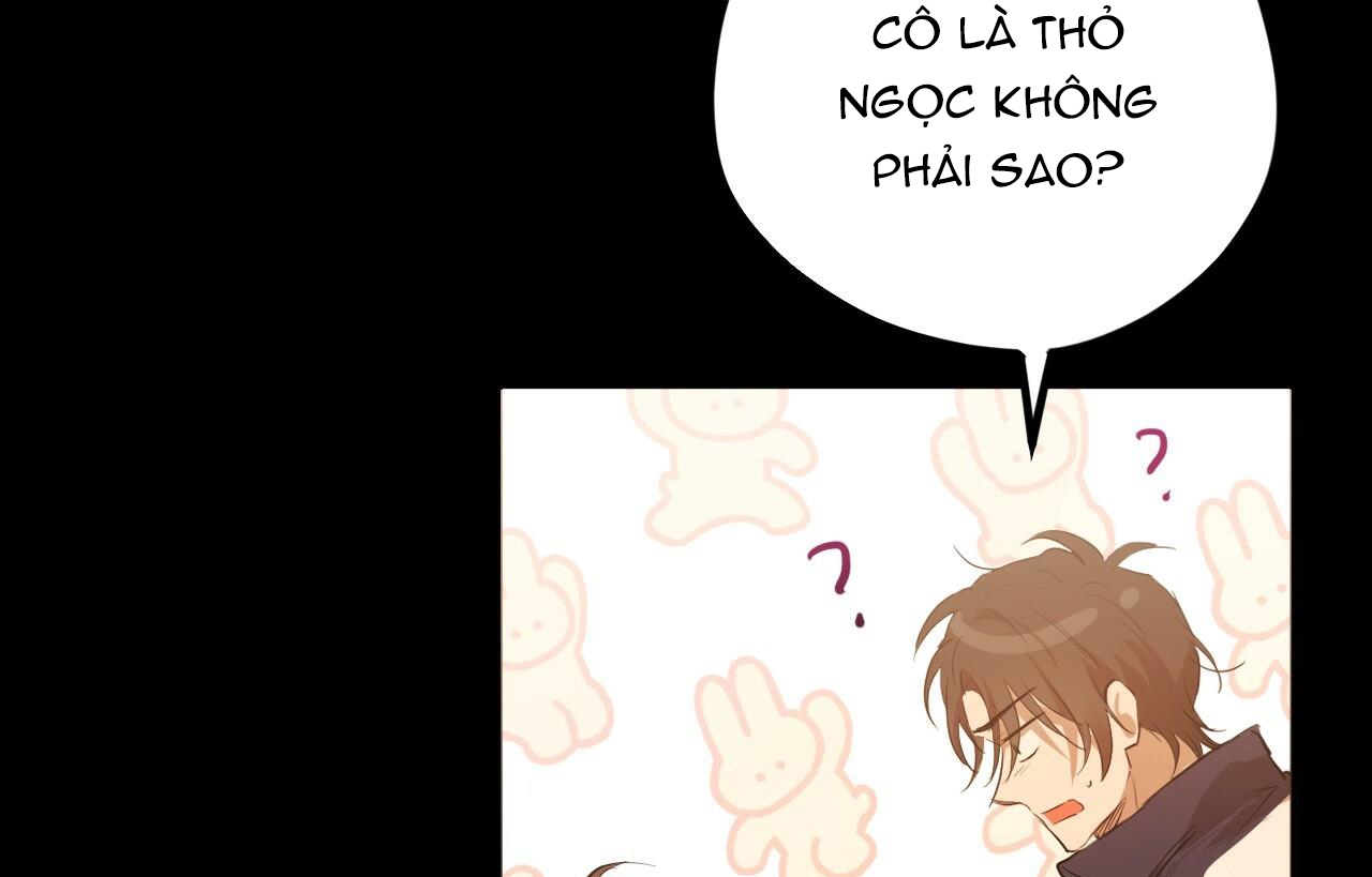 đàn thỏ của habibi chapter 26 222