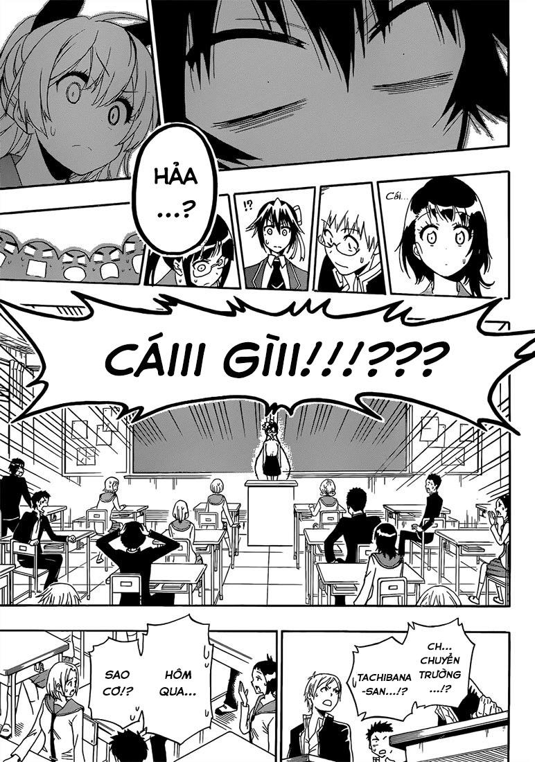 nisekoi - tình yêu giả tạo chapter 181 13
