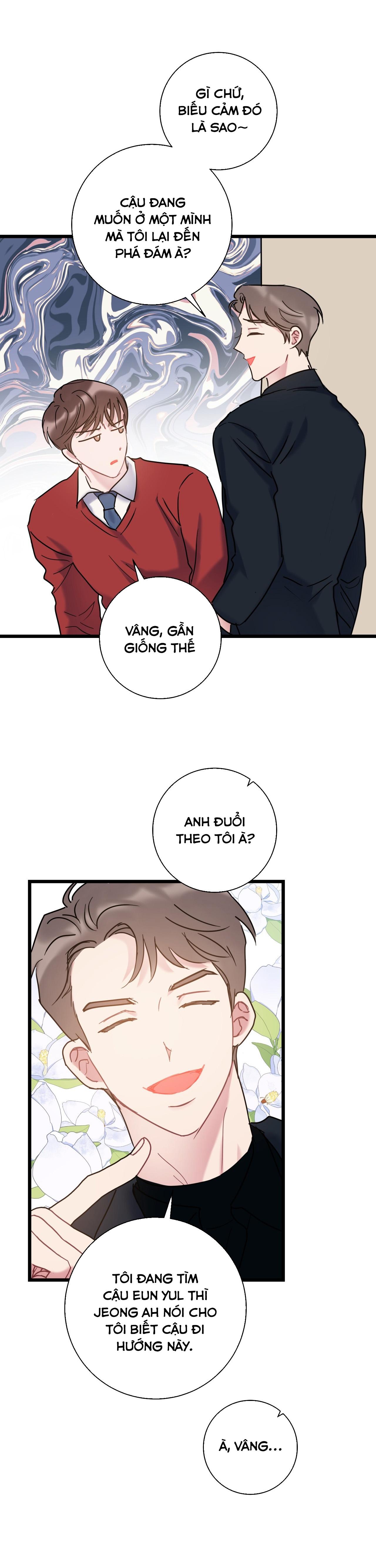 tình yêu bình dị nhất chapter 33 14