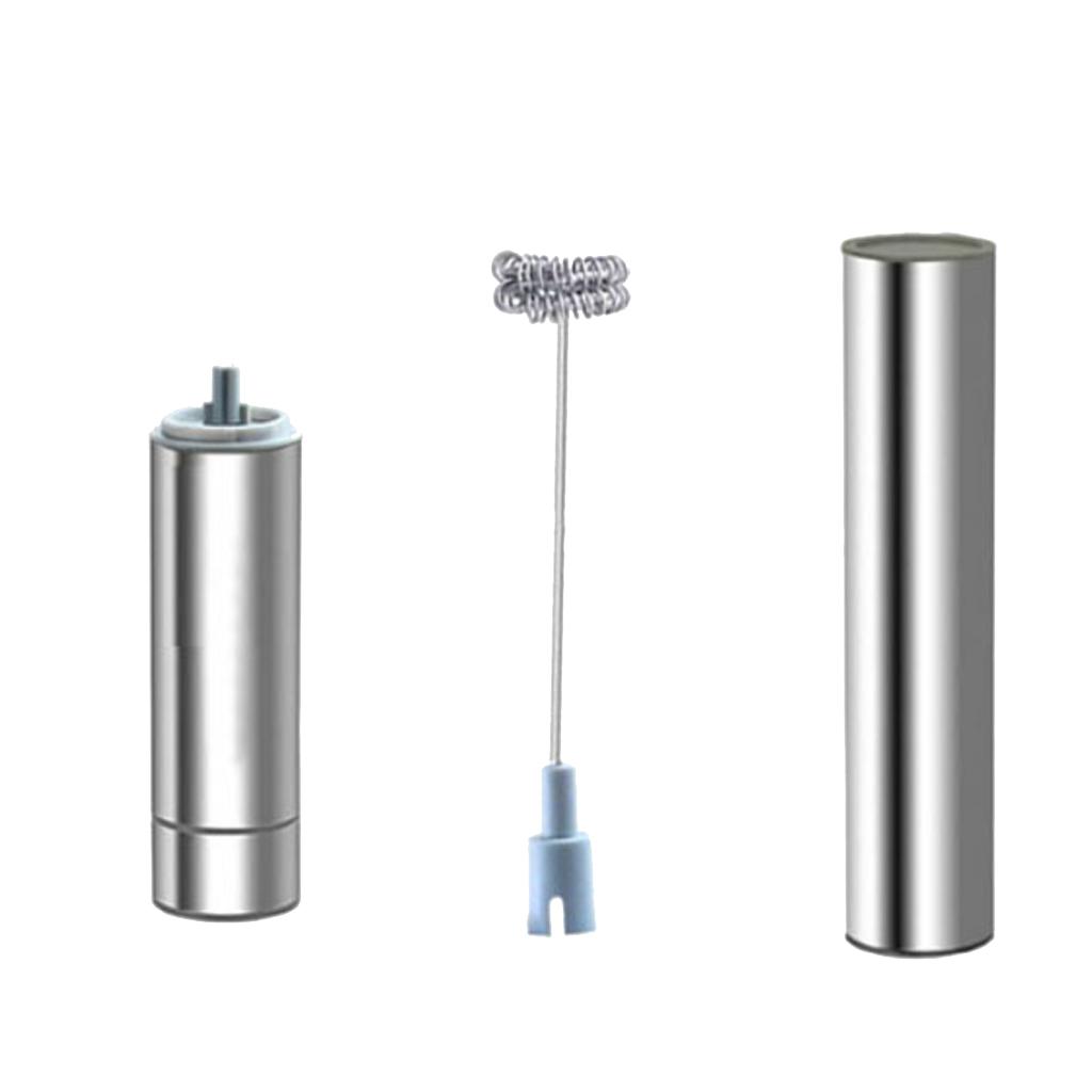 Electric Stainless Milk Frother with Double Spring Whisk Head & Storage Tube