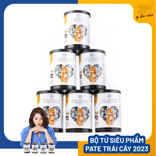 PATE KING PET by BẢO ANH CHO CẢ CHÓ MÈO KHÔNG CHẤT BẢO QUẢN NHIỀU VỊ LON 380G