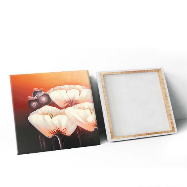 Bộ 3 Tranh Canvas Không Viền Trang Trí Phòng Khách Đẹp Chủ Đề Hoa W156
