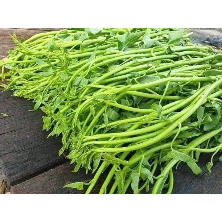 Hạt giống rau muống siêu ngọn - gói 10gram