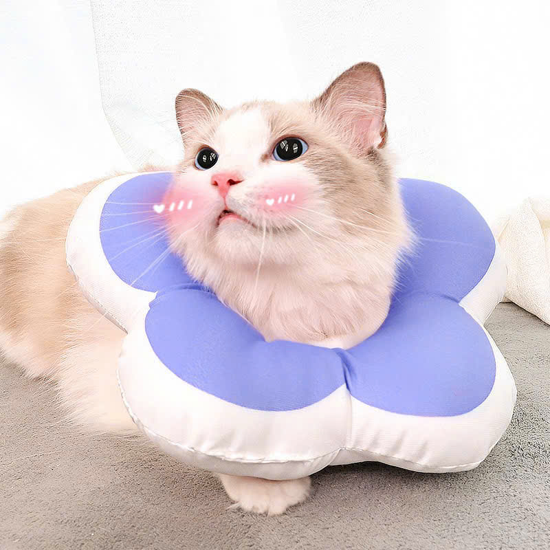 VÒNG CỔ THÚ CƯNG VÒNG CỔ LOA CHỐNG LIẾM CHO THỎ CHÓ MÈO BÔNG HOA DỄ THƯƠNG TỪ 0.5-5.5KG MÃ 10 CHO CHÓ MÈO THỎ