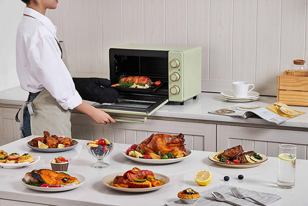 lo nuong bear dkx c20r5 6