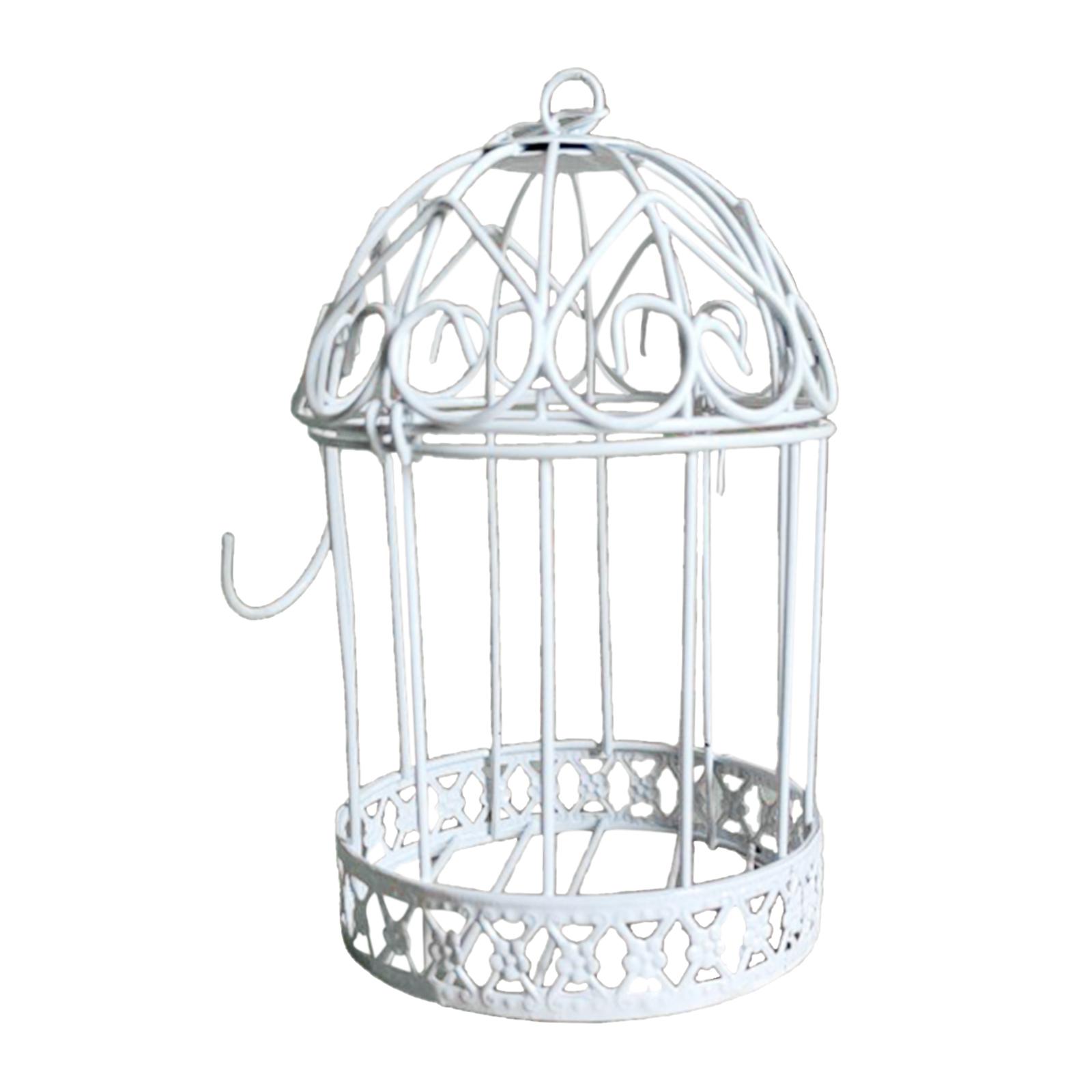 2Pcs Iron Birdcage Frame Wire Succulent Pot Metal Planter Iron Plant Basket