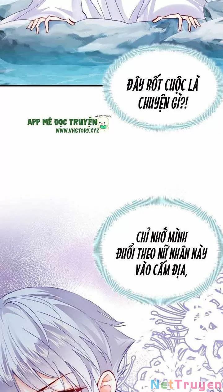 lại bị bệnh chiều chuộng quấn lấy chapter 16 12